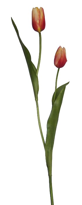 Tulip Bud Spray- 22`` (Tulip Bud Spray-22``)
