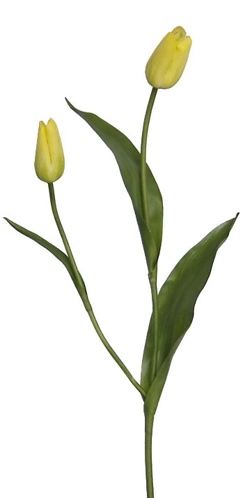 Tulip Bud Spray- 22`` (Tulip Bud Spray-22``)
