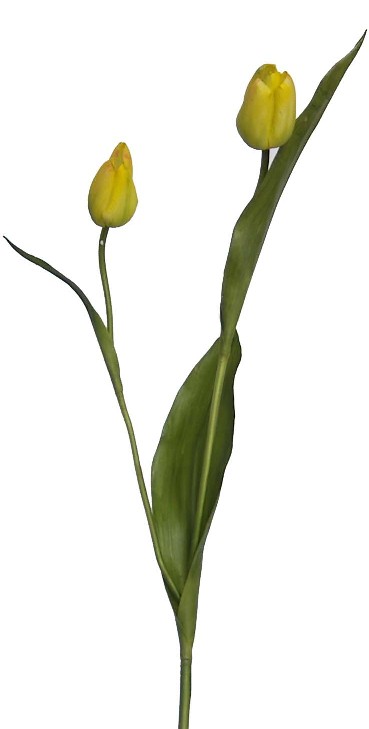 Tulip Bud Spray- 22`` (Tulip Bud Spray-22``)