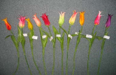 Tulip spray- 23``