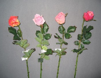 Rose Spray- 30`` (Rose Spray- 30``)