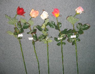 rose bud spray-30`` (rose bud-Spray-30``)