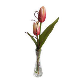 13``H TULIP IN VASE (13``H TULIPE EN VASE)