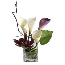 POTTED CALLA LILY-9.5`` (POTTED CALLA LILY-9.5``)