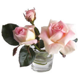 8``H POTTED ROSE (8``H EMPOTE ROSE)