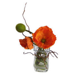 8``H POTTED POPPY (8``H EMPOTE PAVOT)