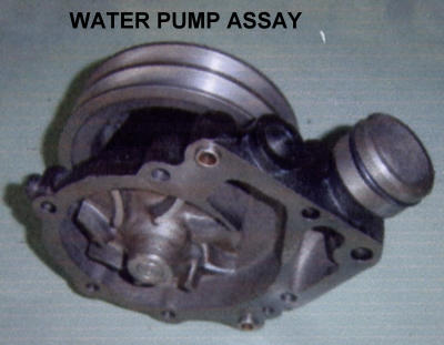 WASSERPUMPE ASSAY (WASSERPUMPE ASSAY)