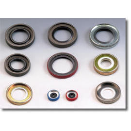 oil seals (сальники)