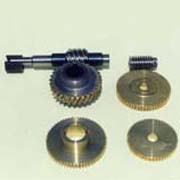 Worm Gear (Worm Gear)