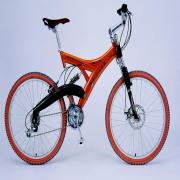 MOUNTAIN BIKE (Mountain Bike)