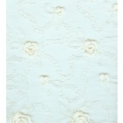 Embroidery lace (Embroidery lace)