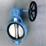 Butterfly Valve
