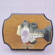 SINGING FISH (Рыб петь)