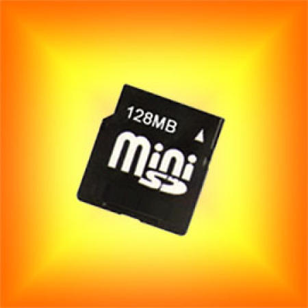 Mini SD / SD Card / Flash Memory Card (Mini SD / SD Card / Flash Memory Card)