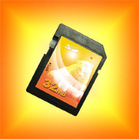 Secure Digital Card / SD Card / Flash Memory Card (Carte Secure Digital / SD Card / Carte mémoire flash)