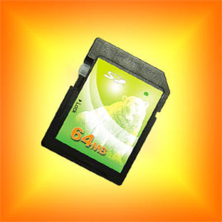 Secure Digital Card / SD Card / Flash Memory Card (Secure Digital Card / SD Card / Flash Memory Card)