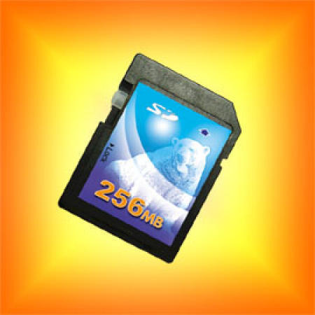 Secure Digital Card / SD Card / Flash Memory Card (Secure Digital Card / SD Card / Flash Memory Card)