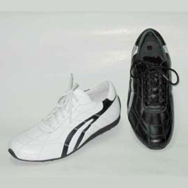 Man`s leisure shoes (Man`s leisure shoes)