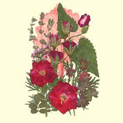 Red series Flower Collection (Red series Flower Collection)