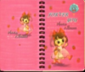 3D Notebook