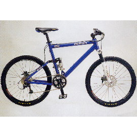 BICYCLE (FAHRRAD)