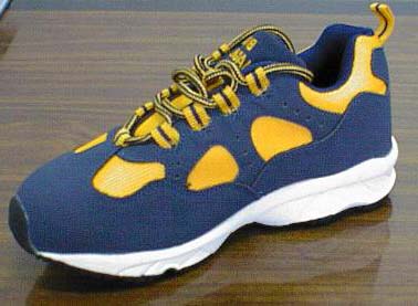  Safety Shoes (Chaussures de sécurité)