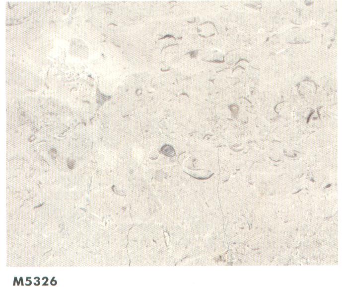  Marble/Granite Tiles, Slabs, Countertops ( Marble/Granite Tiles, Slabs, Countertops)