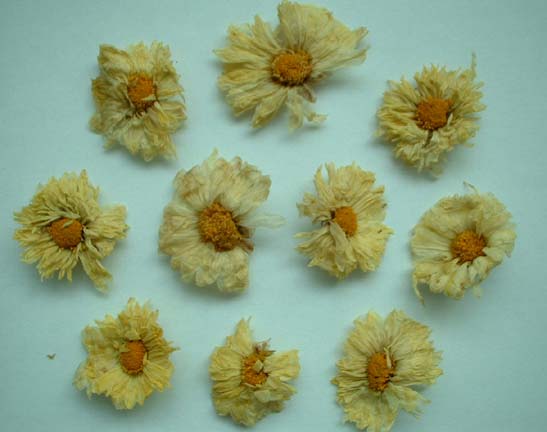  Dehydrated Chrysanthemum (Высушенные хризантема)