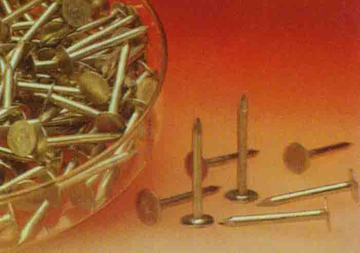  Roofing Nails ( Roofing Nails)