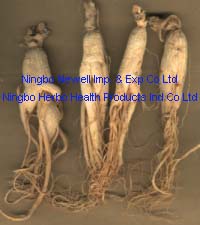 Herb Raw Material & Health Products (Herb Raw Material & Health Products)