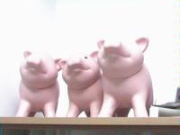  Piggy Banks (Хрюшка банков)