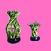  Lucky Bamboo ( Lucky Bamboo)