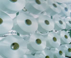  Polyester Monofilament Yarn (Monofilaments de polyester Fil)