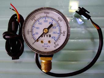 CNG-Gauge (Sensor) mit Switch (CNG-Gauge (Sensor) mit Switch)