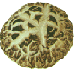  Shiitake, Mushroom (Shiitake, champignons)