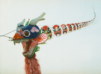  All Kinds Of China Kites