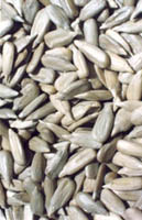  Sunflower Kernels