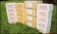  Benzoyl Peroxide