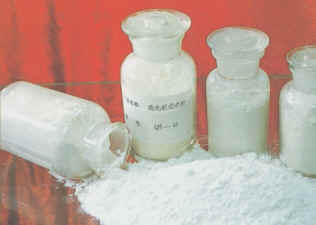  Dicalcium Phosphate