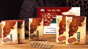  Ganoderma Lucidum Spore Powder & Capsule (Ganoderma Lucidum Spore Powder & Capsule)