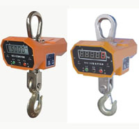  Crane Scale (Kranwaage)