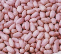  Chinese Peanuts (Китайский арахис)