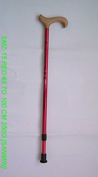  Nordic Walking Stick (Nordic Walking Stick)
