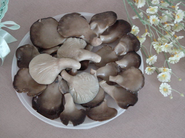  Oyster Mushroom In Brine (Вешенки в рассоле)