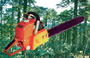  Chain Saw (Chain Saw)