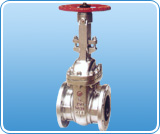  Gate Valve (Gate Valve)