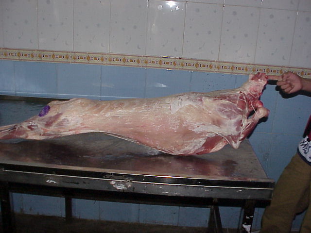 Lamb Carcass (Lamb Carcass)