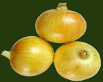 Fresh Gelben und roten Zwiebeln (Fresh Gelben und roten Zwiebeln)