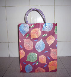 Printed PP Bag With Matte Finishing ( Printed PP Bag With Matte Finishing)