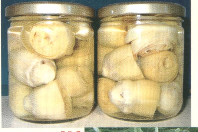  Artichokes In Brine, Tinns And Jars (Artischocken in Salzlake, Tinns und Gläser)